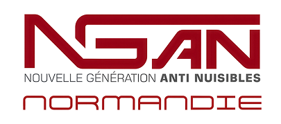 NGAN Normandie