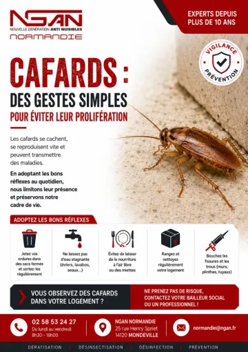 Prévention Cafards en Calvados : 10 Conseils pour Éviter une Infestation de Blattes, Caen, NGAN Normandie