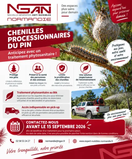 Chenilles processionnaires du pin : anticipez dès maintenant votre traitement phytosanitaire en Normandie, Caen, NGAN Normandie
