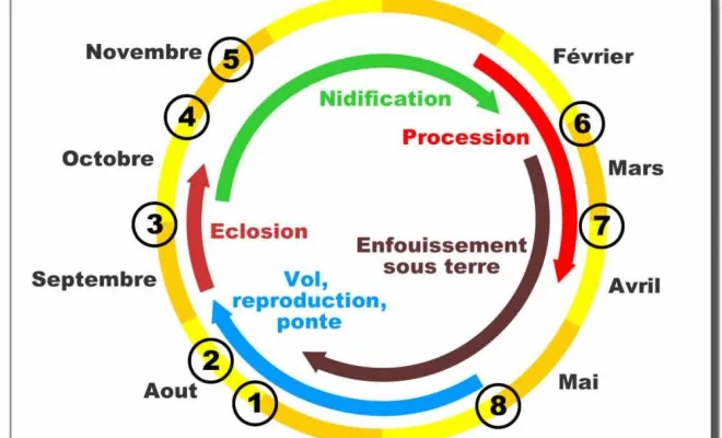 Les chenilles processionnaires dans le Calvados, Caen, NGAN Calvados