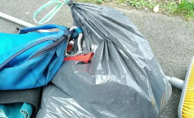 Traitement nid de frelons asiatiques à Ouistreham, Caen, NGAN Calvados